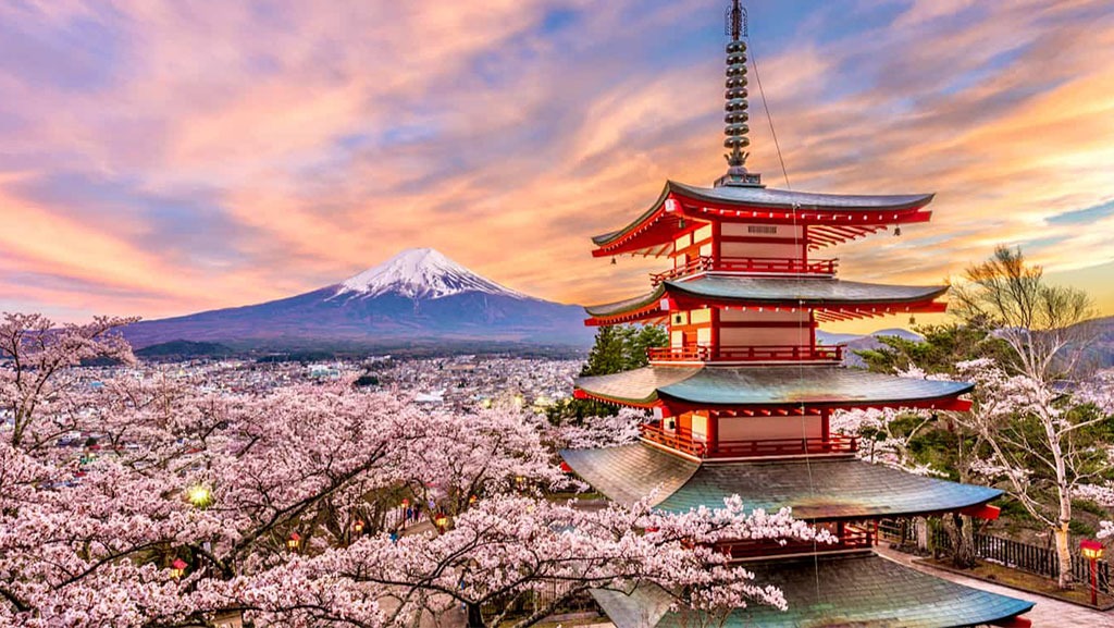 ژوکان: هنر ساختن عادت‌های پایدار